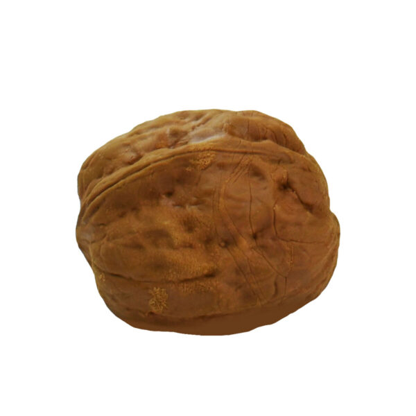 Gomma Walnut Eraser