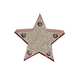 Glitter star light