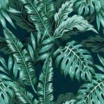 Jungle