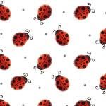 Ladybugs